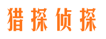 洋县侦探公司